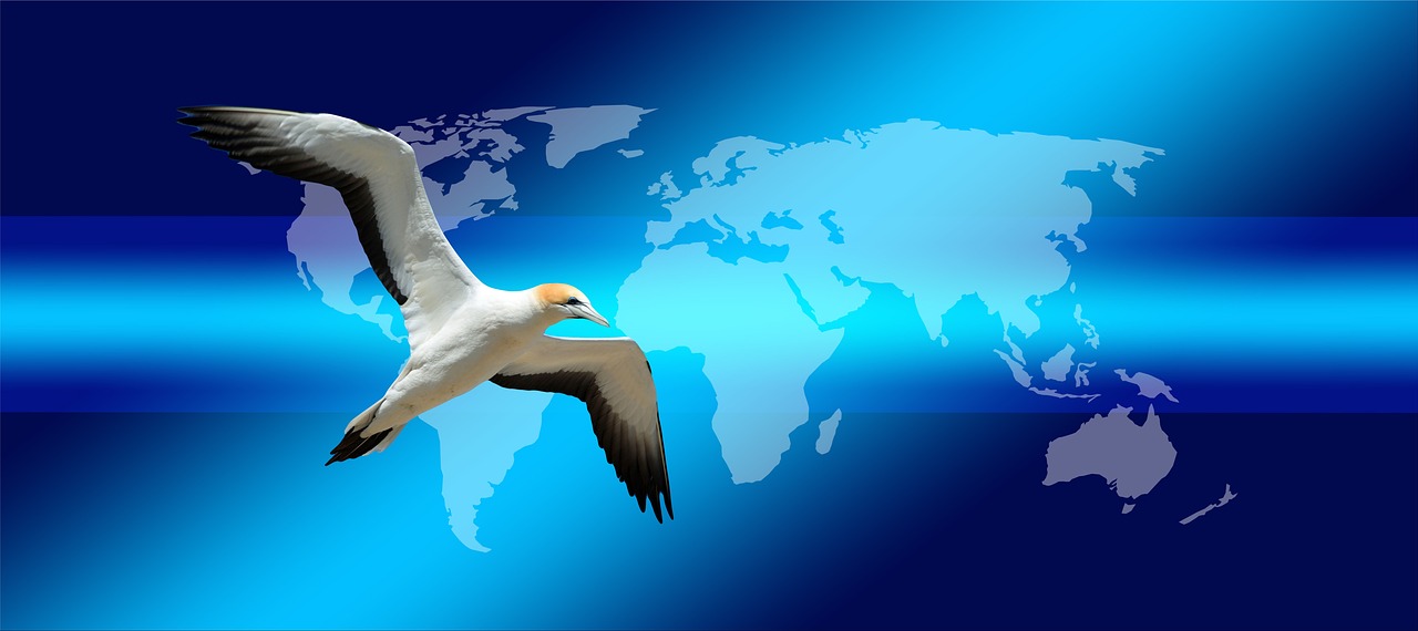 services-07 continents, earth, bird, globe, world, news, press, newspaper, newspapers, northern gannet, wildlife, flying, freedom, journalism, headlines, newsletter, information, read, paper, article, blog, magazine, icon, mail, e-mail, e mail, electronic mail, communication, digital, advertising, broadcast, letter, internet, notification, nature, newsletter, newsletter, newsletter, newsletter, newsletter, blog