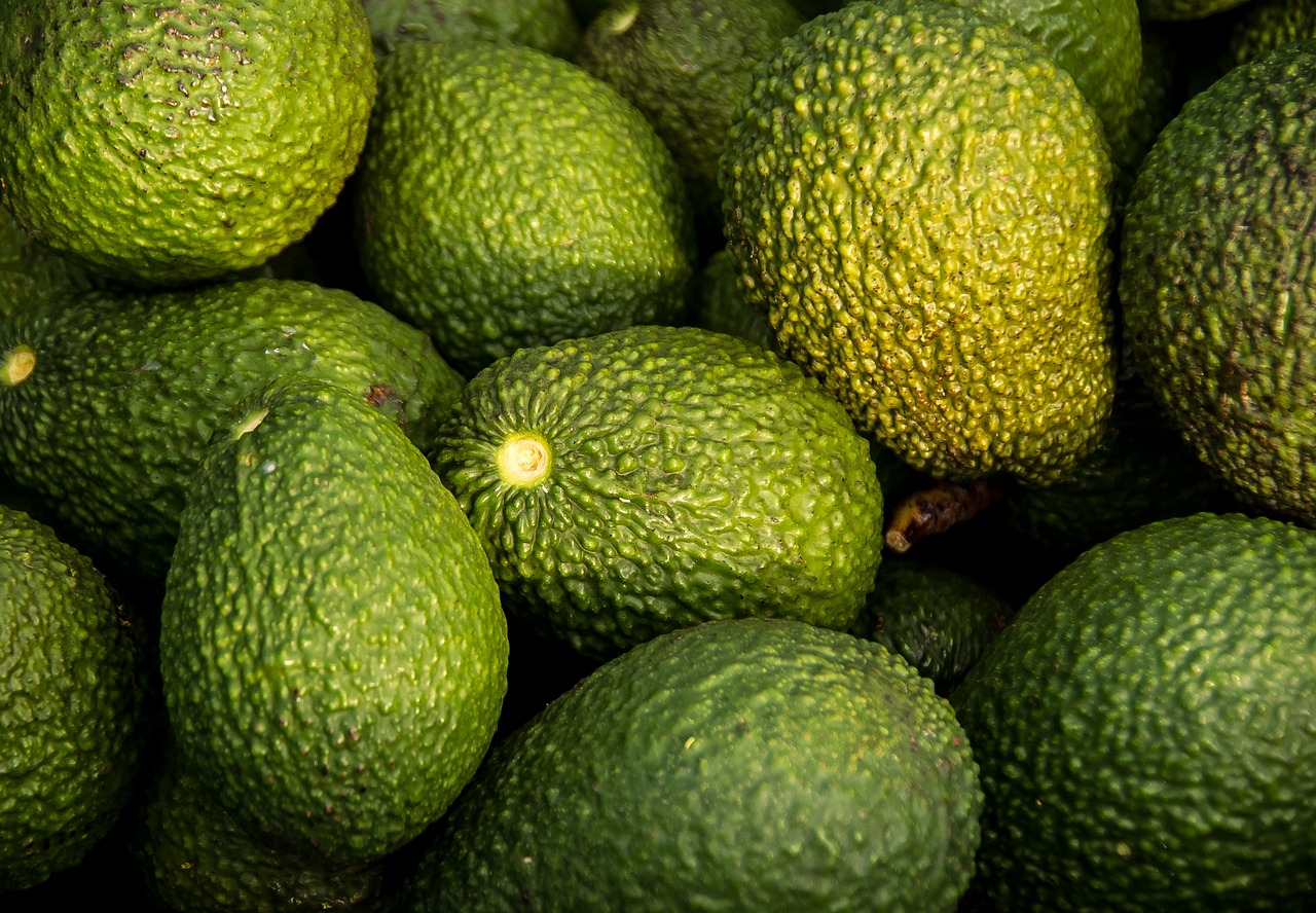 Die besten Superfoods für mehr Energie im Alltag entdecken sie die welt der superfoods! erfahren sie, welche lebensmittel besondere vorteile für gesundheit und wohlbefinden bieten und wie sie superfoods einfach in ihren alltag integrieren können.